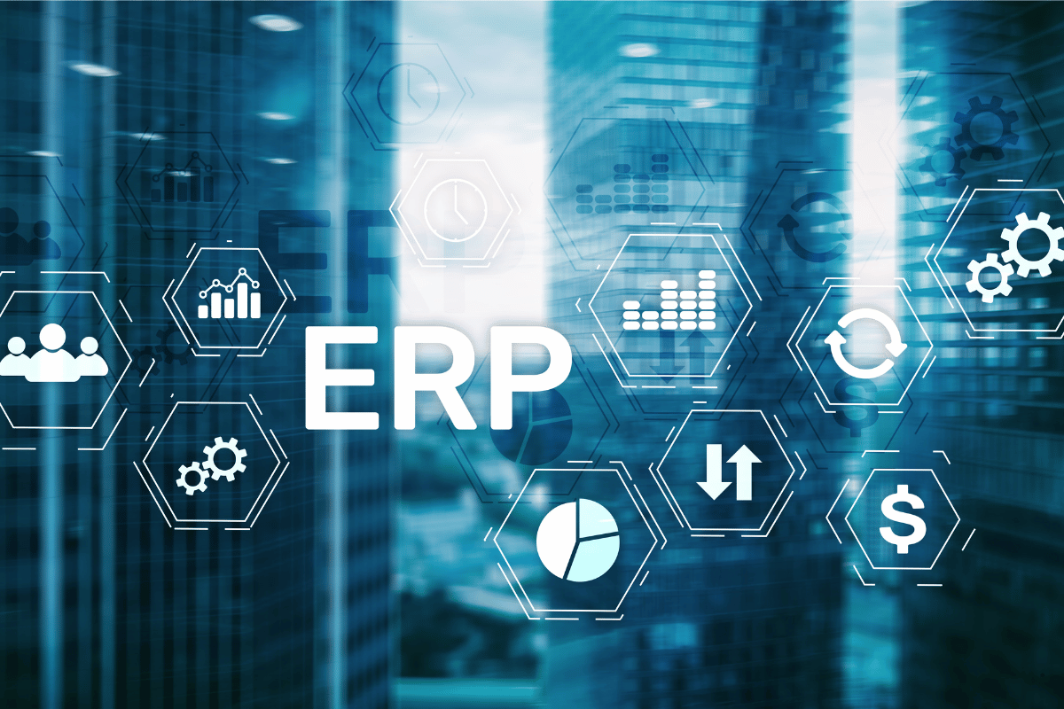 Enhancing Professional Skills with ERP Systems