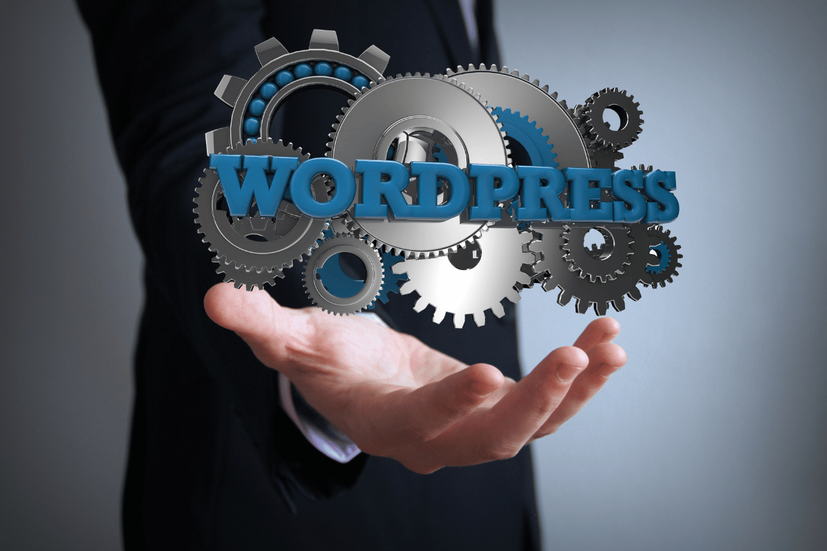 Why a WordPress Image Optimizer is Key for a Faster Website?