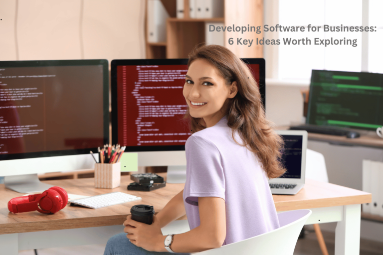 Developing Software for Businesses: 6 Key Ideas Worth Exploring