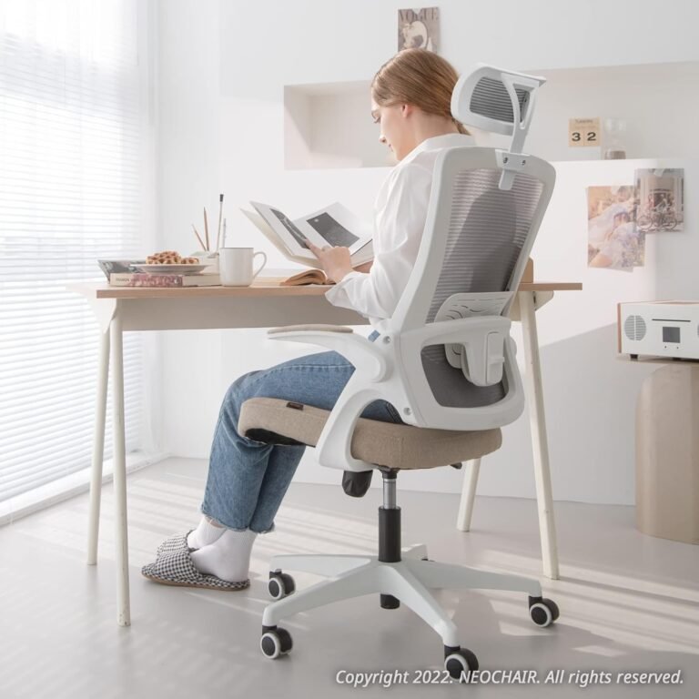 NEO CHAIR High Back Mesh Headrest Review