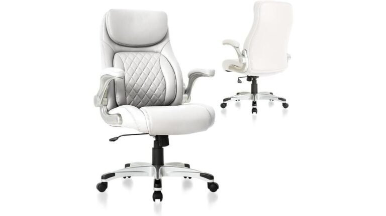 Nouhaus +Posture Chair Review
