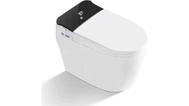 Smart Toilet Bidet Combo Review