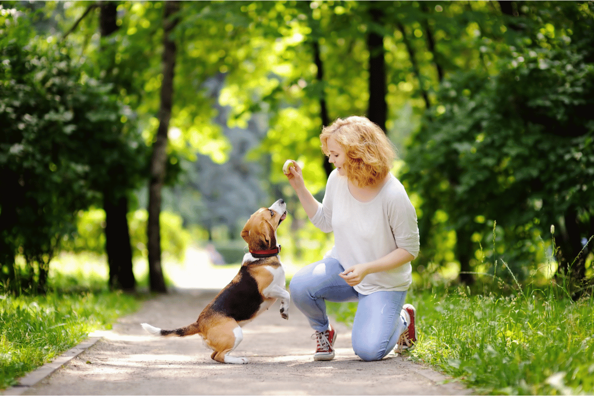 7 Soft Skills Every Pet Owner Should Develop