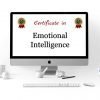 Emotional Intelligence Course
