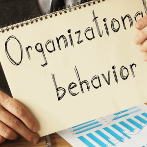 Organizational Behavior Management Certificate