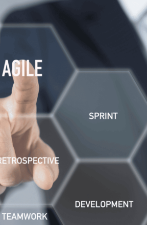 Agile Leadership and Management