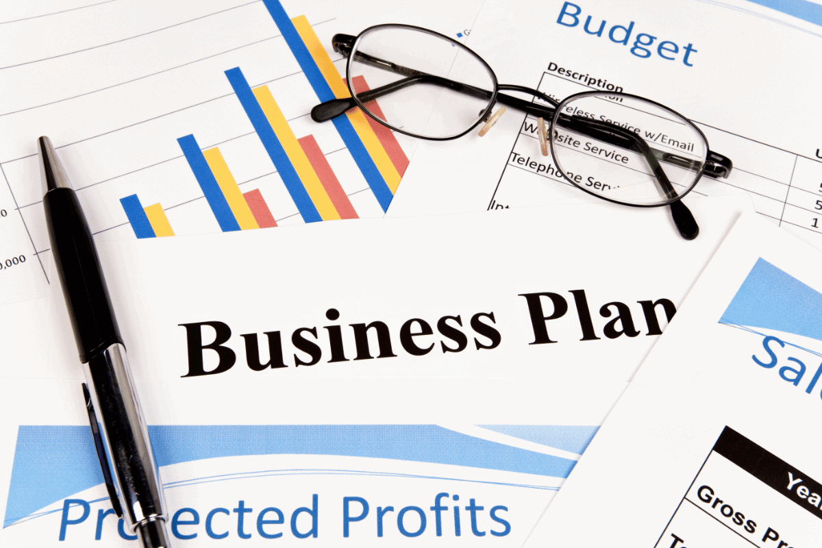 writing a business plan for dummies