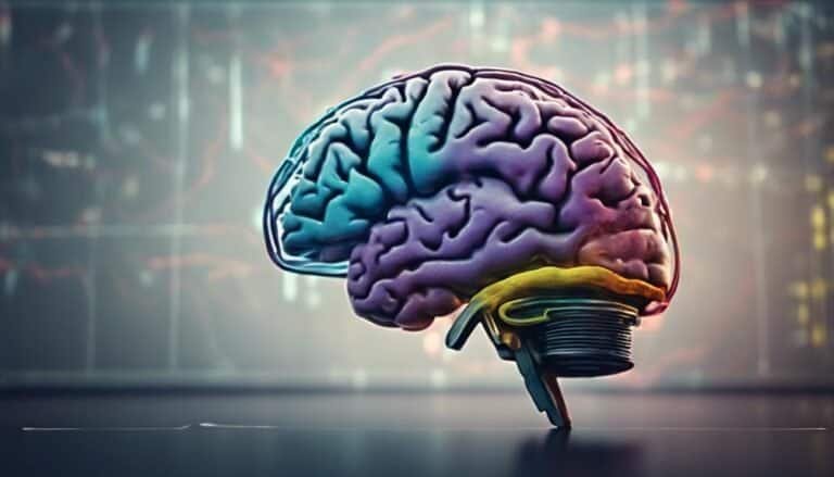 Brain Insights Into Personality Types