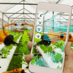 AI for Agriculture and Food Production