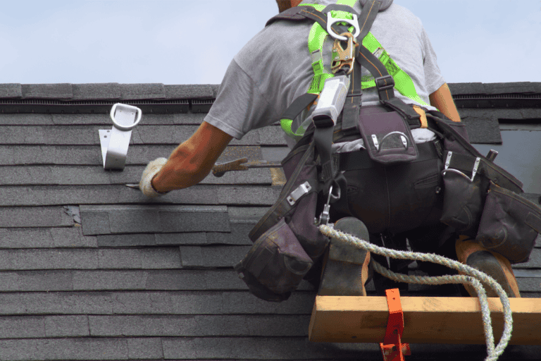 How to Maintain Your Roof Professionally to Protect Your Home from the Elements?